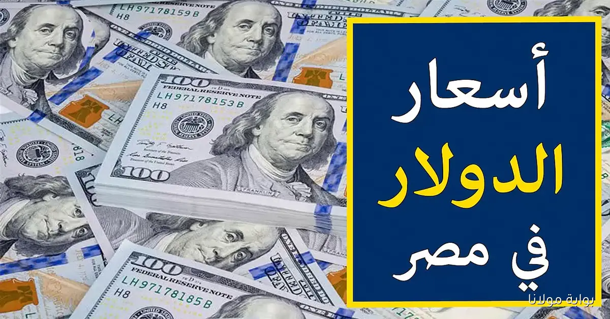أعلي سعر للدولار في السوق السوداء اليوم الثلاثاء 16 سبتمبر 2025 مقابل الجنية المصري