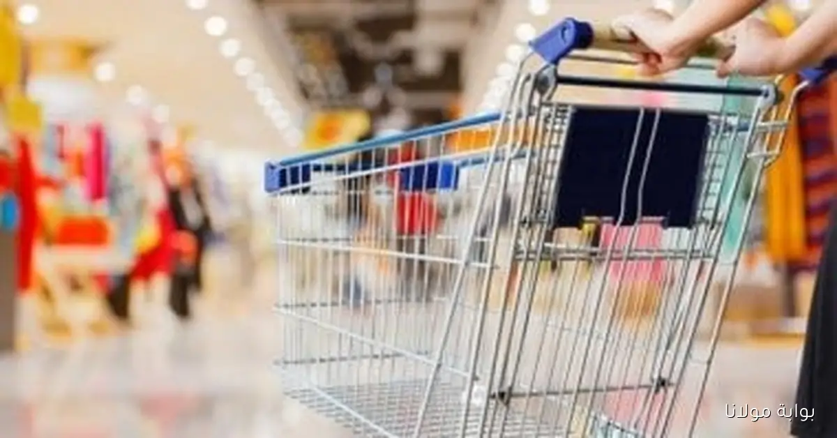 أكثر من مليون مصري يحصلون على دعم تمويلي من شركات التقسيط في يوليو بقيمة 9.3 مليار جنيه