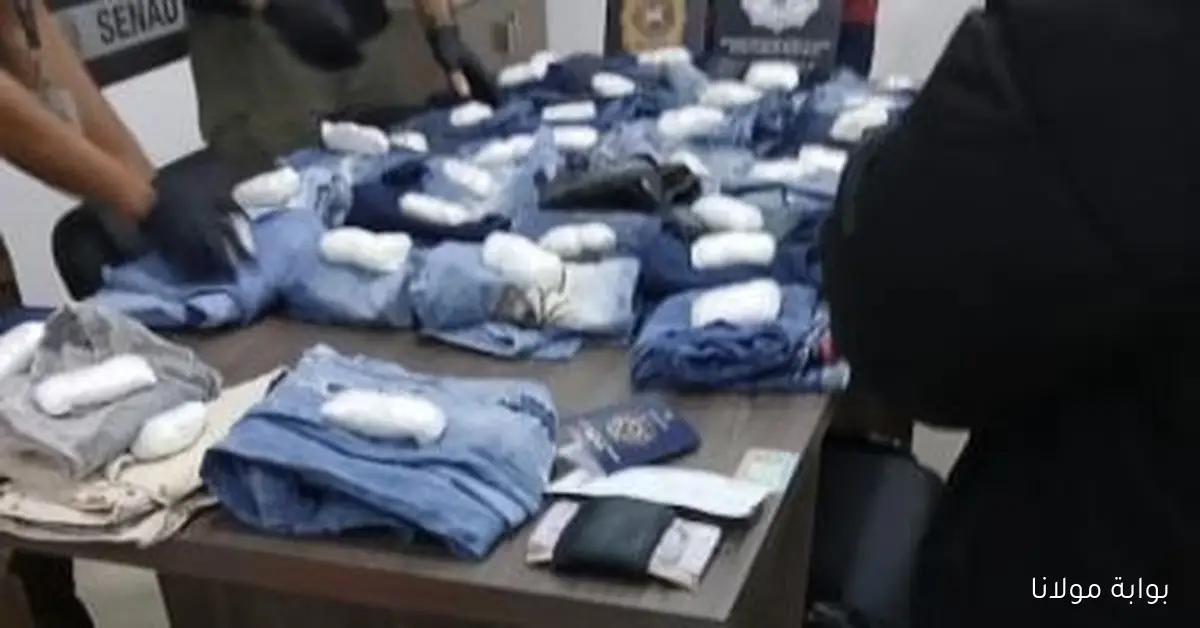 ألمانيا تحبط محاولة تهريب أكثر من 400 كيلوغرام من الكوكايين في ميناء هامبورغ