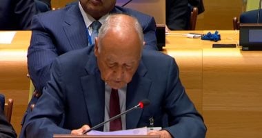 أمين عام جامعة الدول العربية يرحب بإعلان نيويورك الذي يدعم حل الدولتين ويعزز إقامة دولة فلسطينية