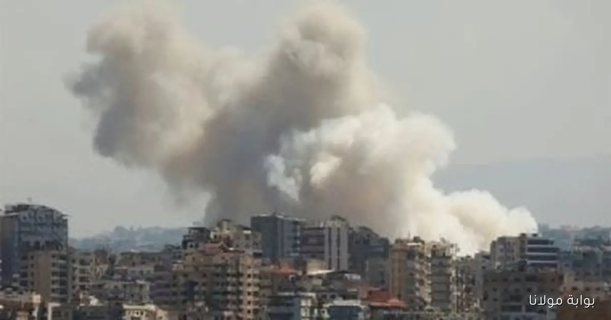 إصابة 8 أشخاص جراء غارة إسرائيلية على منطقة كسار زعتر في جنوب لبنان