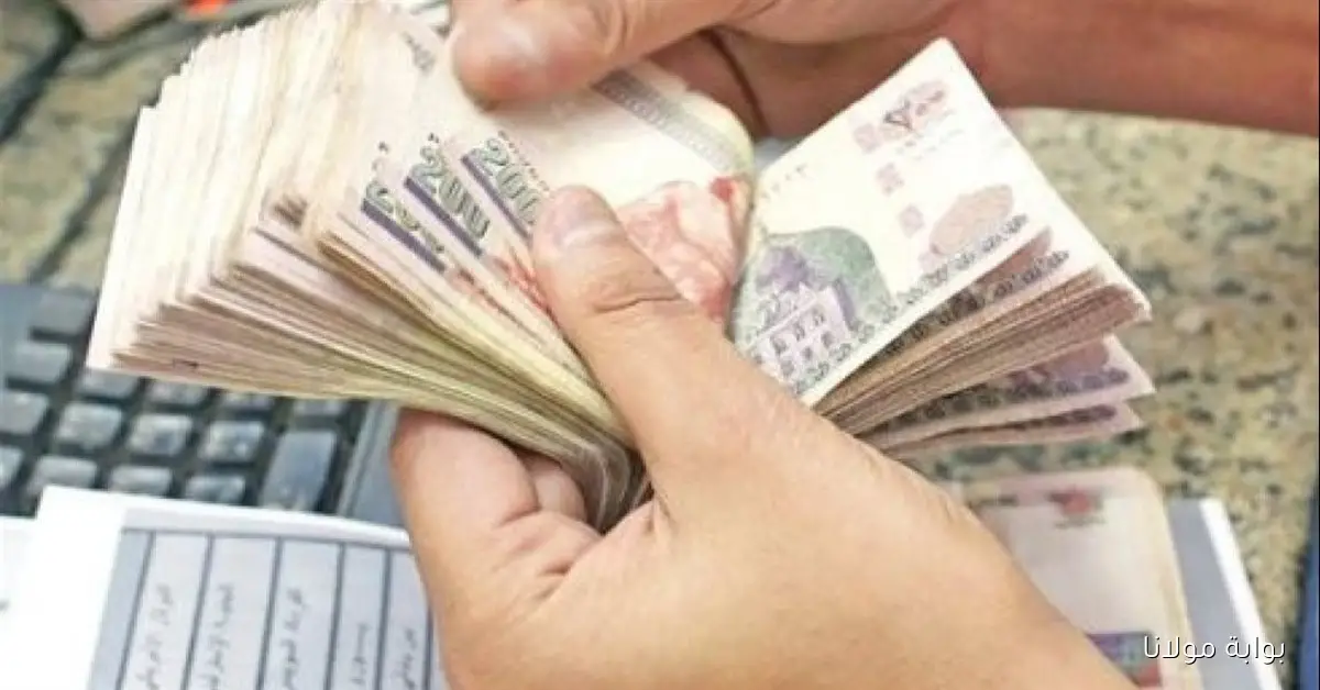 إعلان هام من المالية: موعد صرف مرتبات سبتمبر 2025 والحد الأدنى للأجور