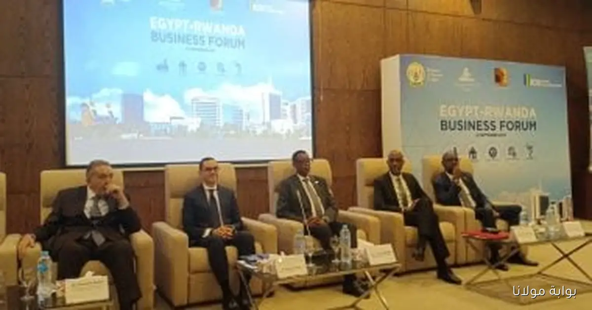 إفريقيا تزخر بالفرص ومصر تلعب دورًا محوريًا في تعزيز التكامل القاري