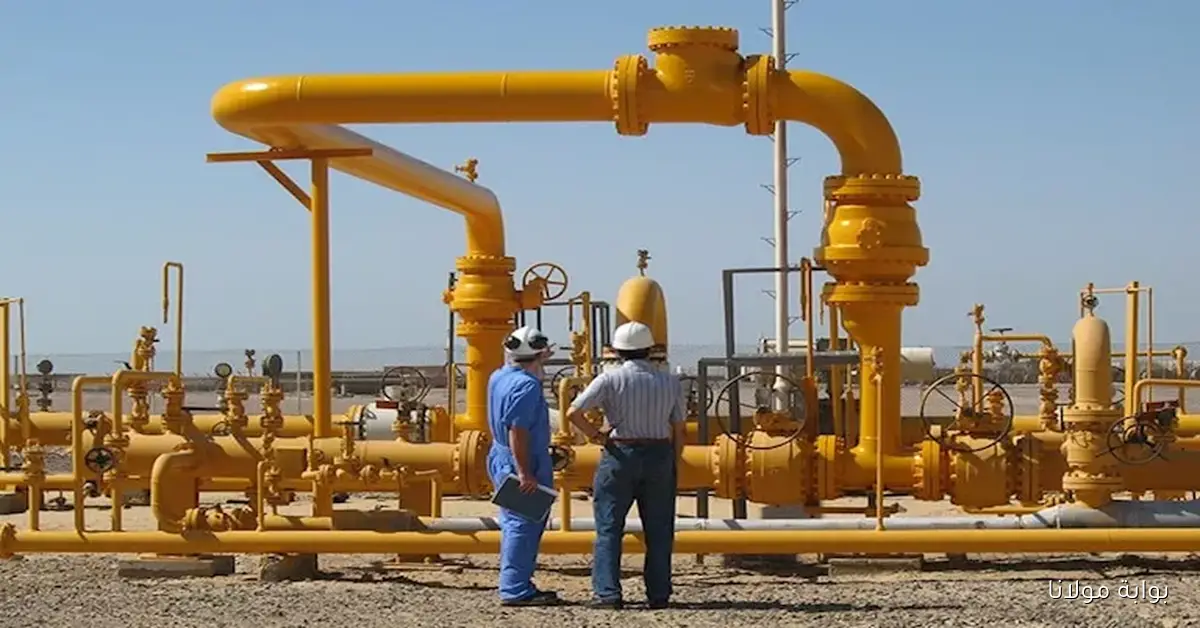 إنيرجين تكشف عن احتياطيات جديدة تقدر بـ3 تريليونات قدم مكعب من الغاز في مصر