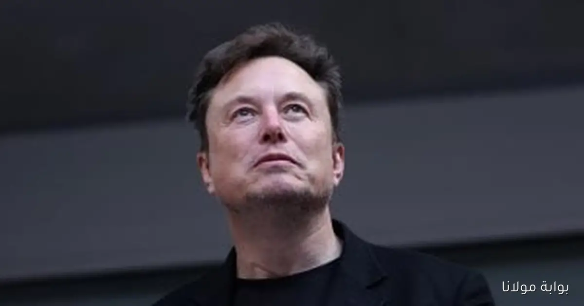 إيلون ماسك يثير الجدل بتعليقه حول ضرورة حل البرلمان وتغيير حكومة بريطانيا: إليكم التفاصيل