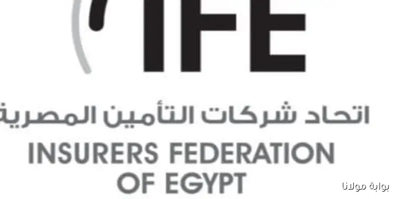 اتحاد التأمين يؤكد أن المنصات الرقمية ستكون محوراً رئيسياً لمستقبل صناعة التأمين في مصر