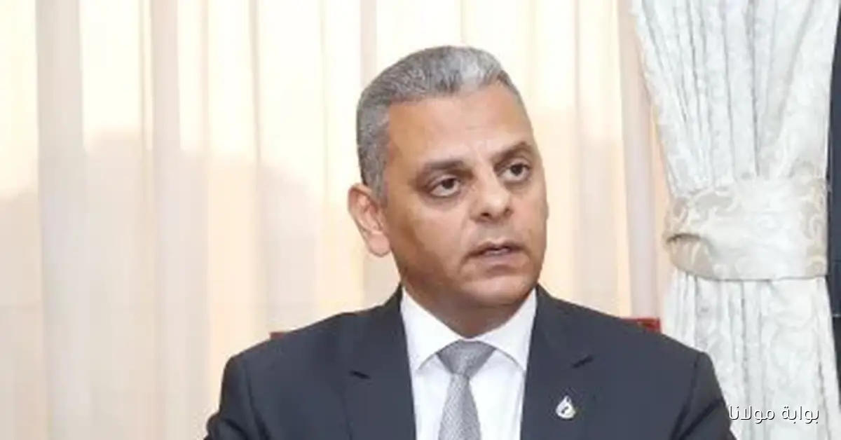 اتحاد التأمين يدعو لتعزيز السندات الخضراء والاستثمارات المستدامة لتحقيق مستقبل أفضل