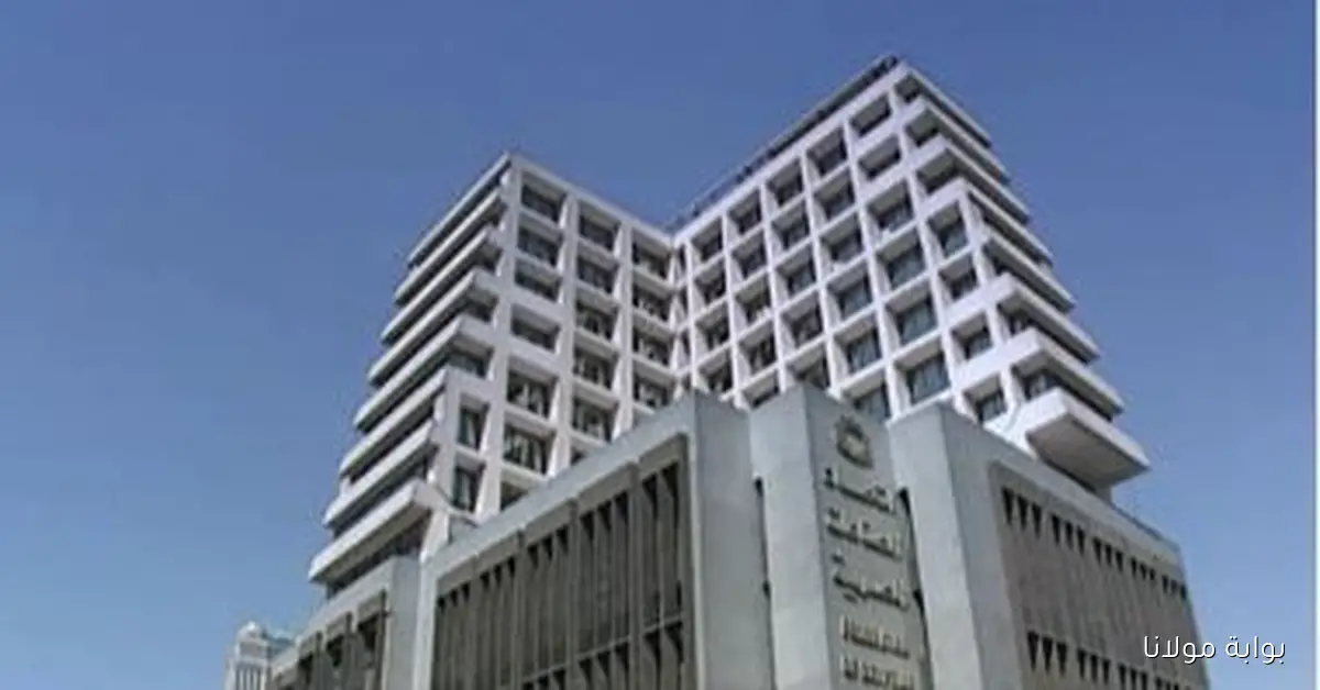 اتحاد الصناعات يكشف عن مواعيد انتخابات الغرف الصناعية للفترة 2025-2029