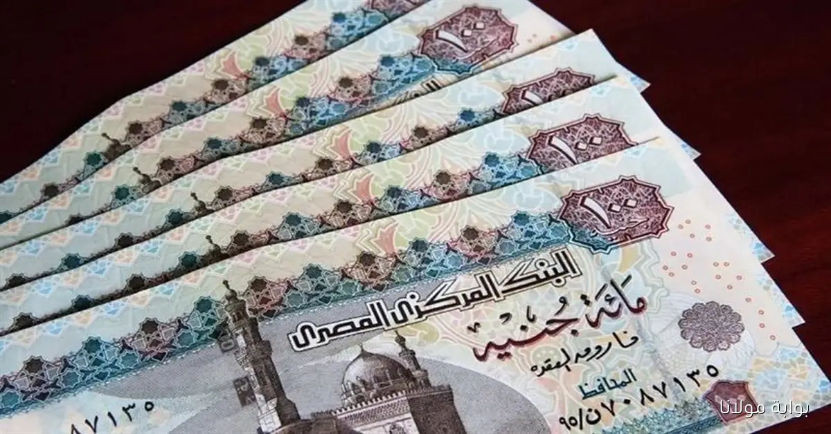 تعرف على .. اخر اخبار زيادة المعاشات لشهر اكتوبر 2025 وخطوات الاستعلام عنها عبر الموقع nosi.gov.eg