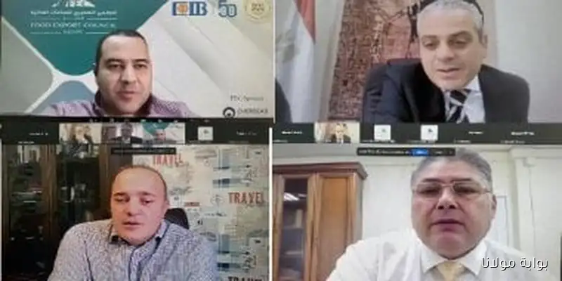 ارتفاع حجم التبادل التجاري بين مصر وروسيا إلى 6.4 مليار دولار