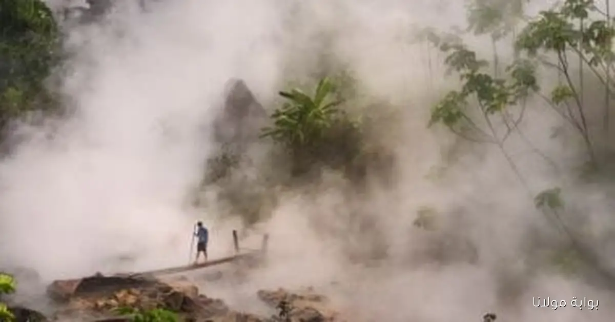 ارتفاع حرارة أكبر نهر في الأمازون إلى 100 درجة يهدد بقاءه