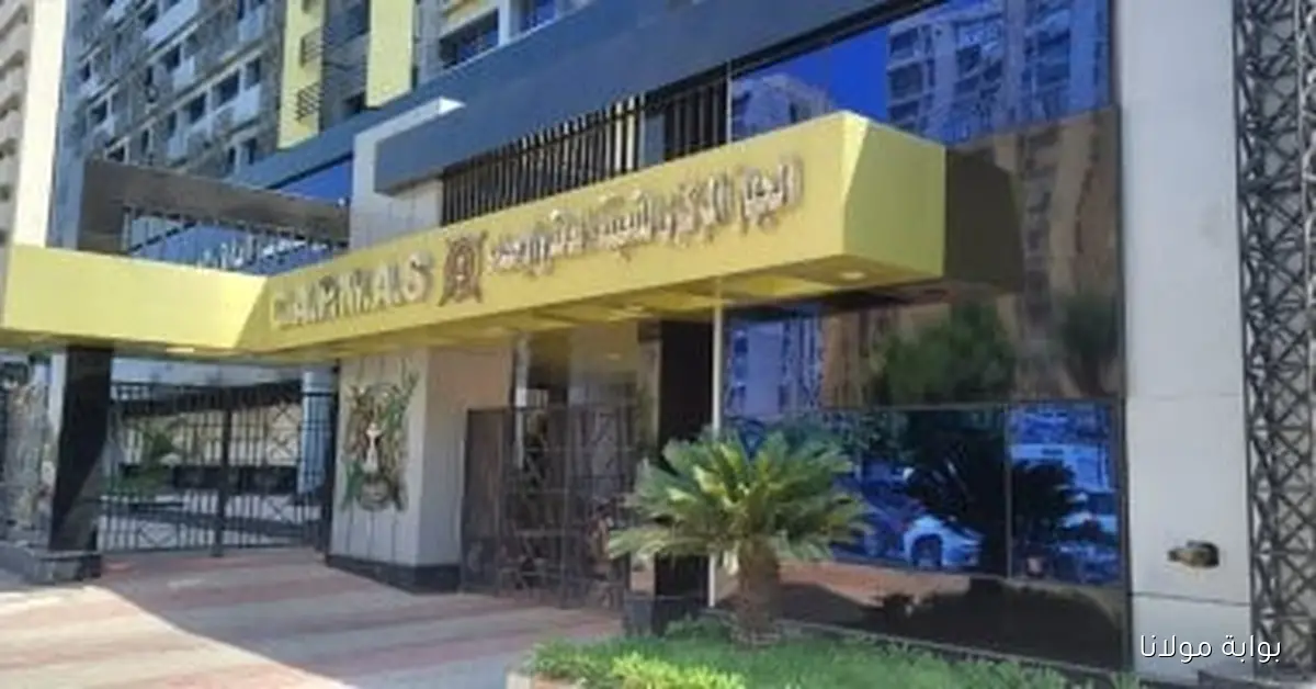 ارتفاع ملحوظ في الصناعات التحويلية خلال يوليو بنسبة 7.4%