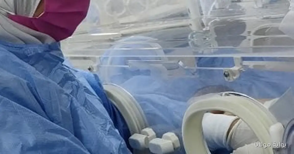 ارتفاع نسبة الولادات القيصرية في مصر إلى 70% في غرف الرعاية الصحية