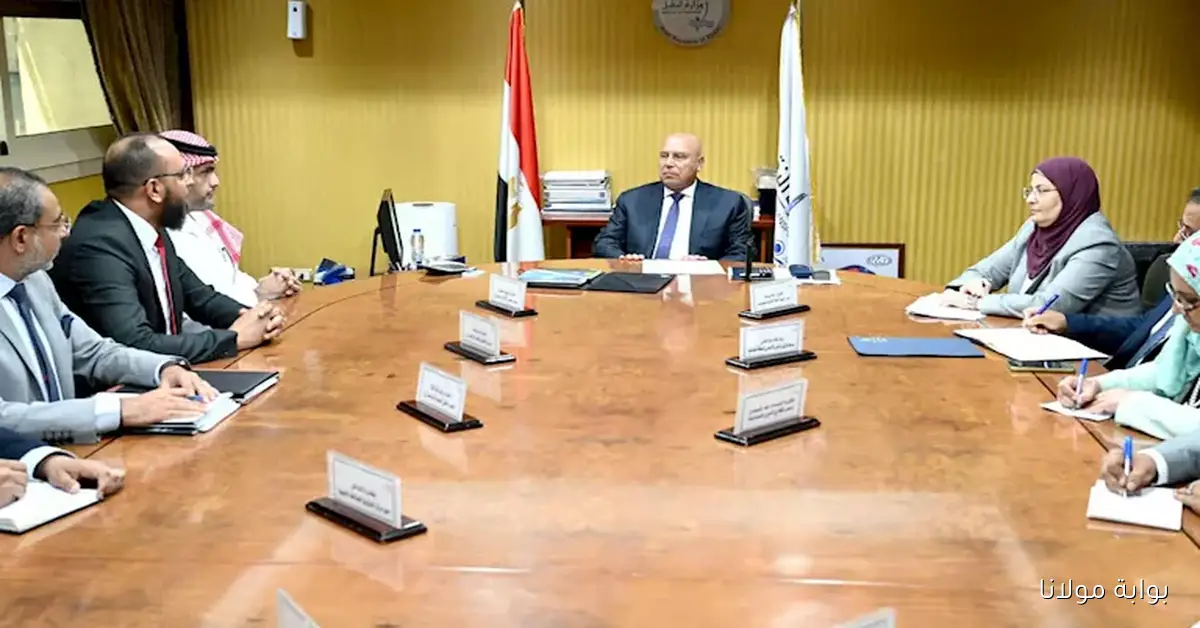 استثمارات سعودية بقيمة 2 مليار جنيه لإنشاء مجمع صناعي في مصر