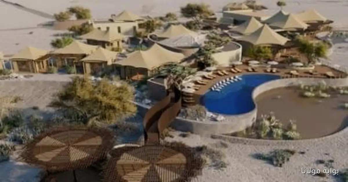 استثمارات ضخمة في سهل حشيش: زيتون وفوزى ووهيب يحققون أحلامهم بشراء أراضٍ بملايين الدولارات