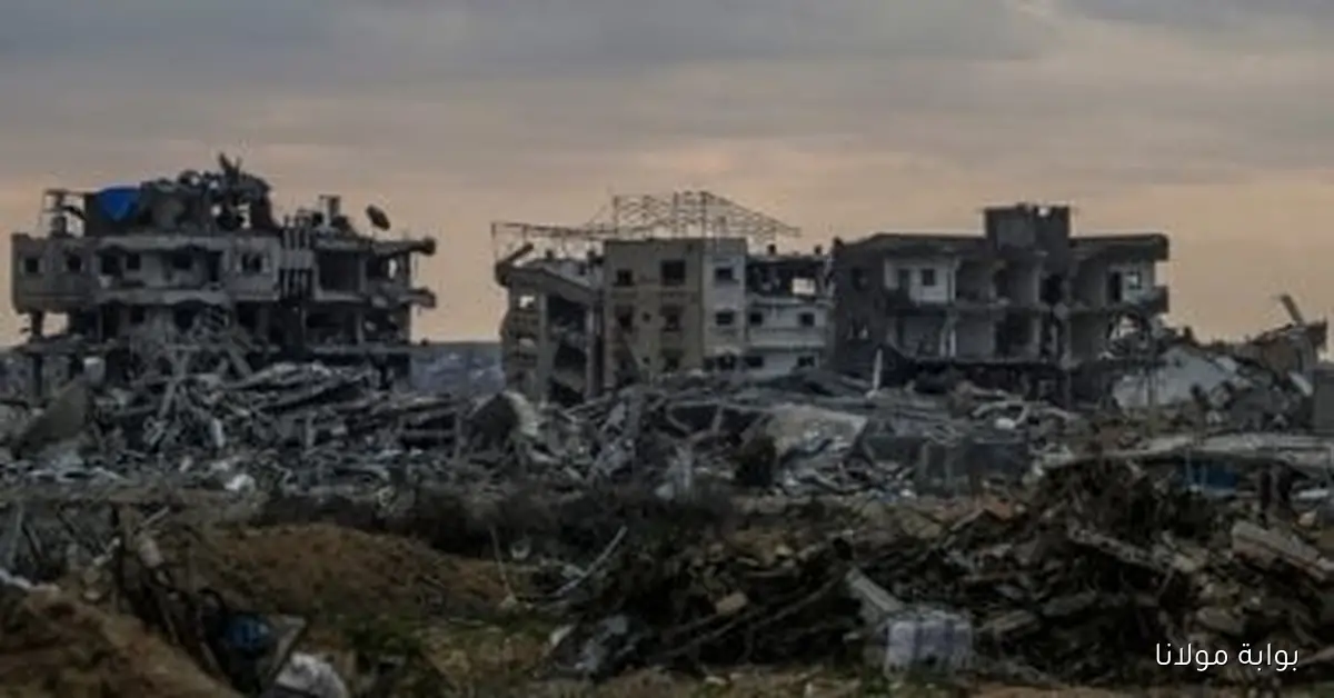 استشهاد 12 شخصًا، بينهم 9 في مدينة غزة، جراء نيران وقصف الاحتلال منذ فجر اليوم