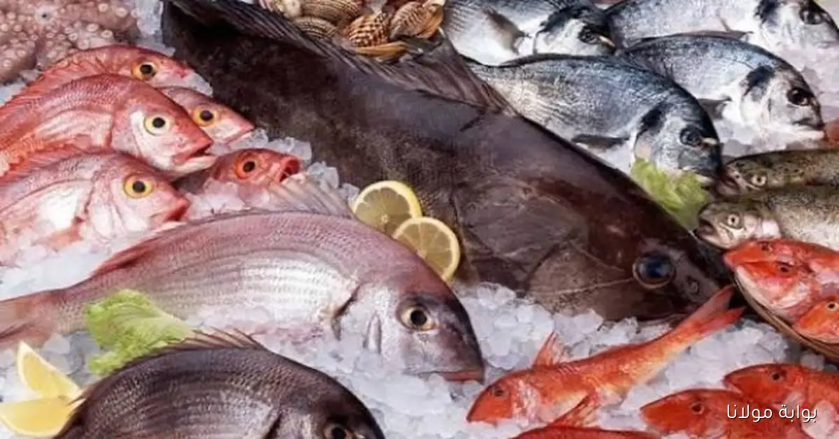استقرار أسعار الأسماك مع زيادة طفيفة في سعر الجمبري بالأسواق المحلية