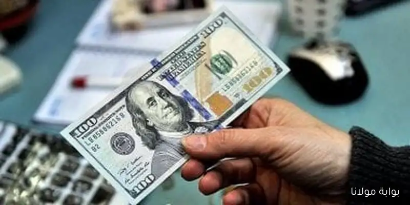 استقرار أسعار الدولار في مصر خلال التعاملات المسائية