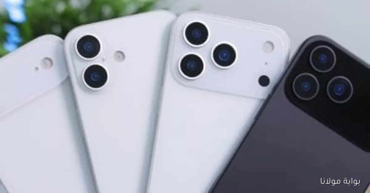 استكشف 10 حقائق مهمة حول تسجيل الهواتف للمسافرين والسياح