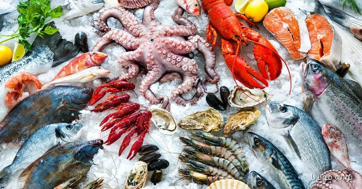 كيلو البوري بكام؟؟ اسعار السمك اليوم الاحد 2025/9/14 في سوق العبور