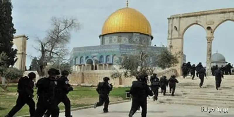 اقتحام عشرات المستوطنين لباحات الأقصى واعتقال 11 فلسطينياً من الضفة