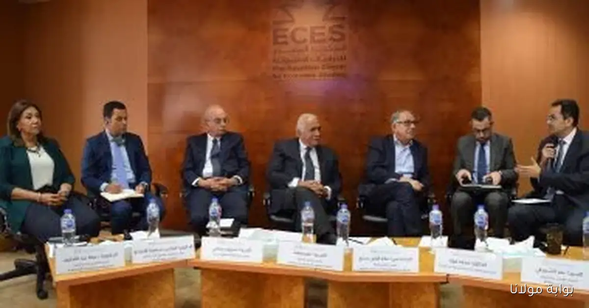 اقتصاد مصر يشهد تحسناً ملحوظاً وضرورة مواصلة الإصلاحات الهيكلية لتحقيق الاستدامة