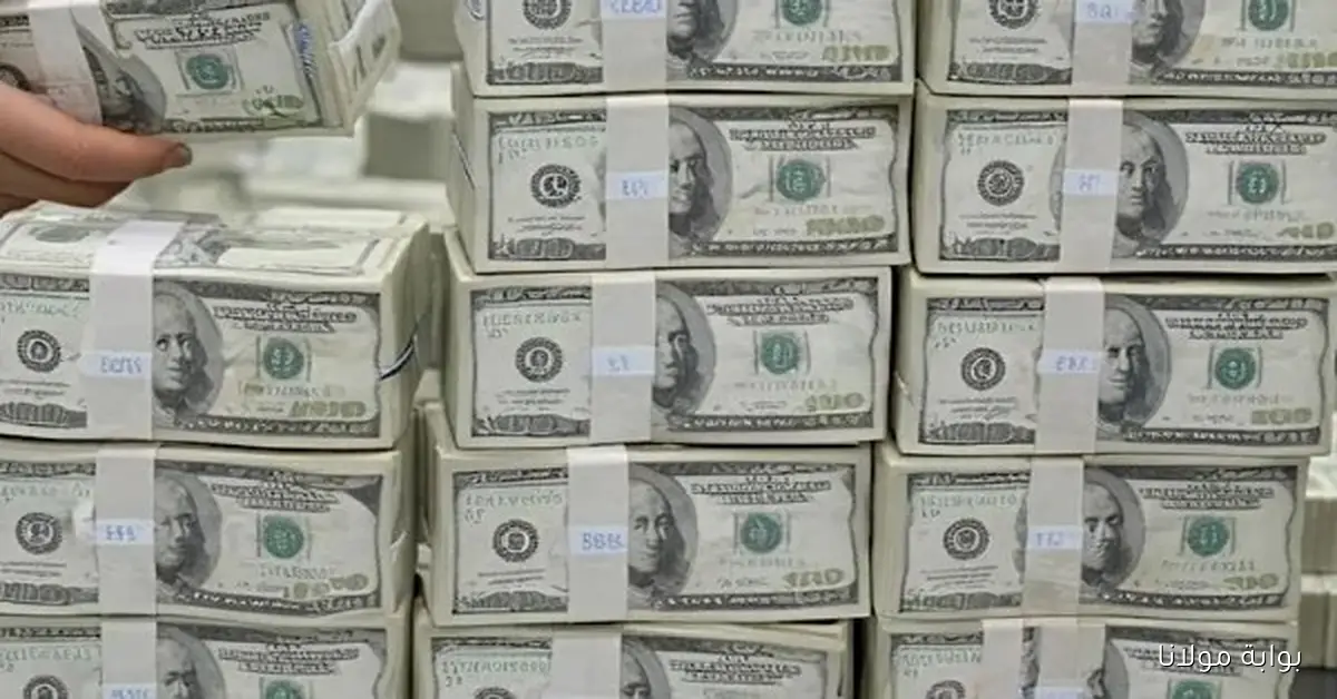 اكتشف أسعار الدولار مقابل الجنيه المصري في 10 بنوك مختلفة