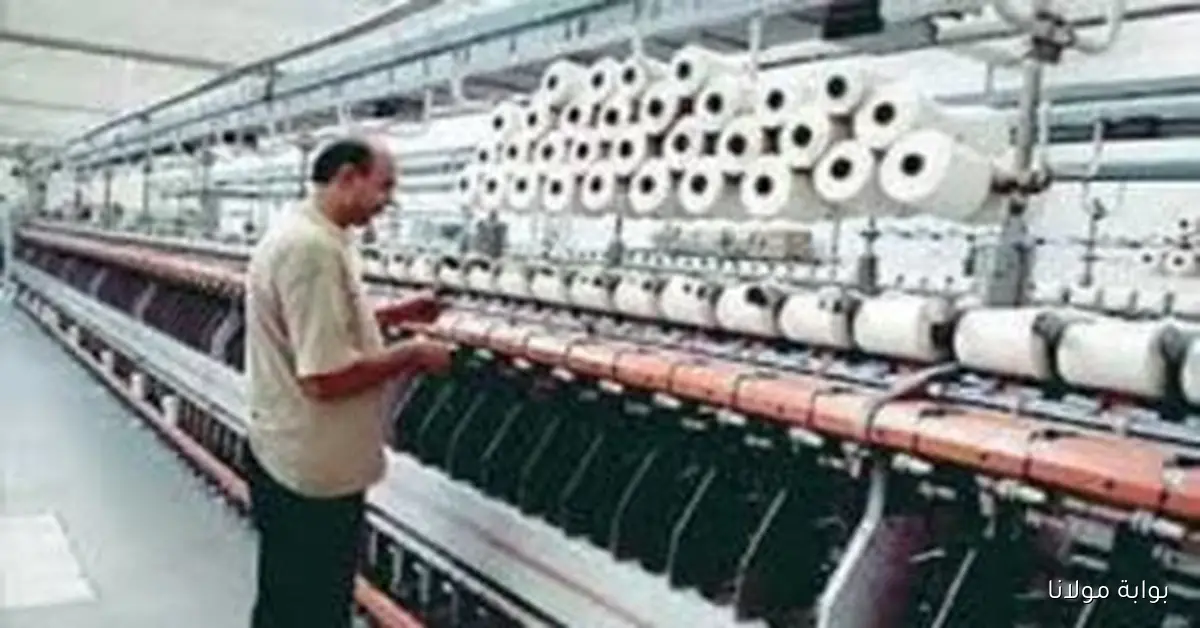 اكتشف تفاصيل مشروع مدينة وادي سريرية للملابس الجاهزة وأهميته للمستقبل