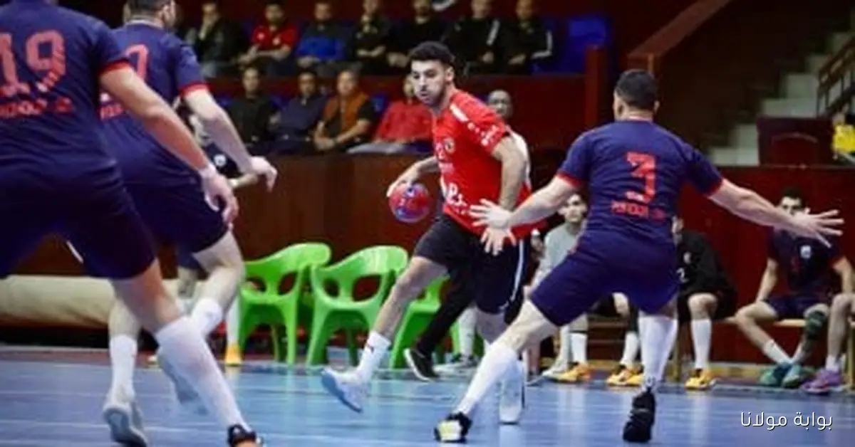 الأهلي يحقق انتصاراً على طنطا في خامس جولات دوري محترفي كرة اليد