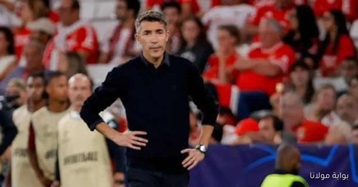 الأهلي ينتظر رد البرتغالي برونو لاج بشأن العرض خلال 48 ساعة