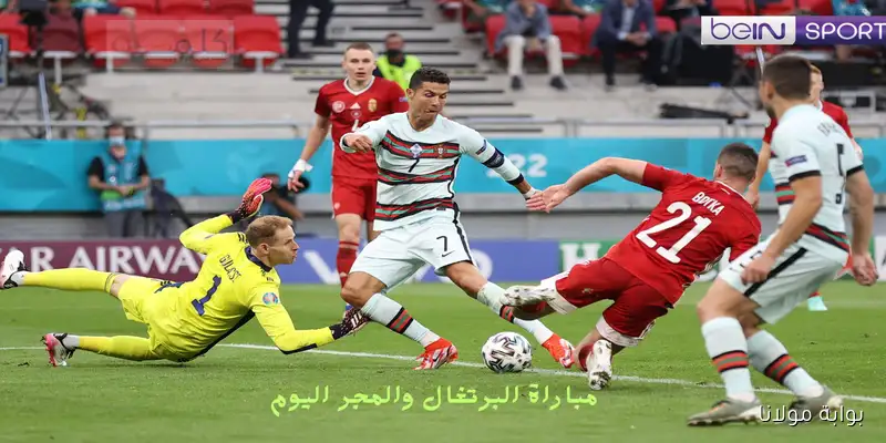 البرتغال تواجه المجر اليوم في تصفيات كأس العالم ورونالدو يقود التشكيلة الرسمية