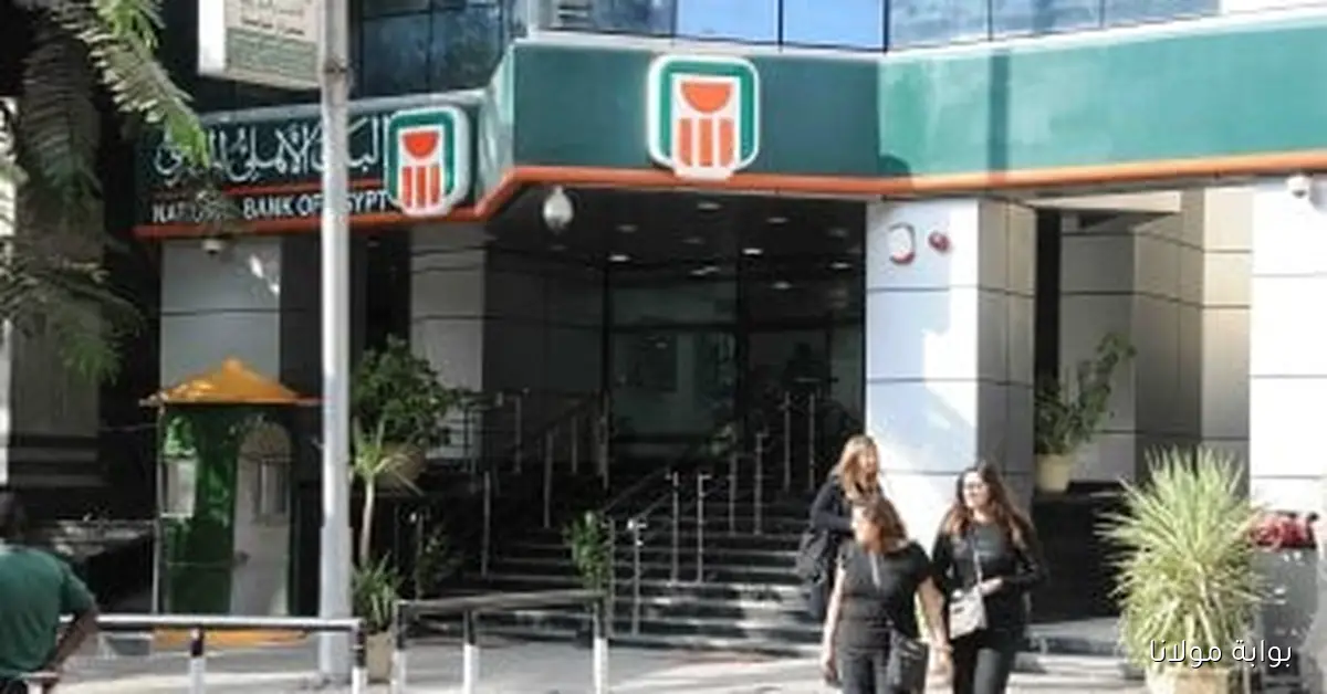 البنك الأهلي المصري يحقق 133.3 مليار جنيه كصافي أرباح في نهاية السنة المالية