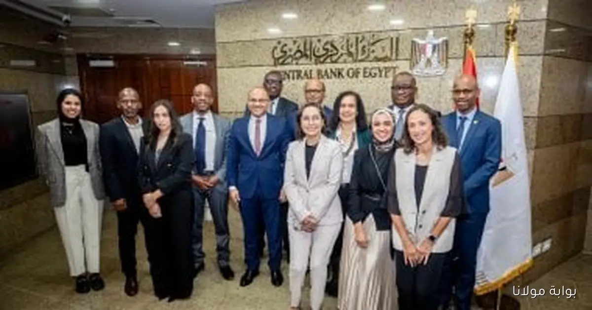 البنك المركزي يطلق أولى جلسات مجموعة عمل تقرير الاستقرار المالي في إفريقيا