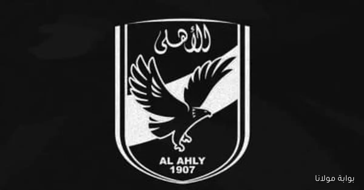 التصويت على لائحة الأهلي يستغرق 5 دقائق فقط ولا يتطلب بقاء العضو حتى انتهاء الجمعية العمومية