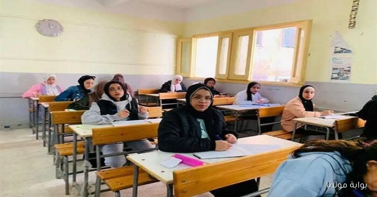 وزارة التعليم توضح طريقة توزيع درجات أعمال السنة بالمرحلتين الابتدائية والإعدادية