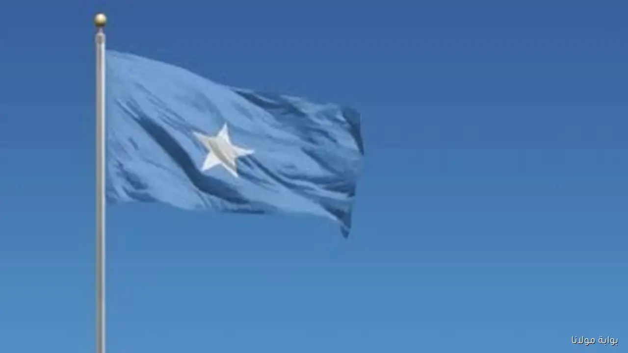 الجيش الصومالي يحقق انتصارات كبيرة ويقضي على 60 عنصرًا من مليشيات “الخوارج” بما في ذلك قياديان بارزان