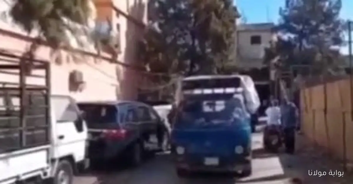 الجيش اللبناني يبدأ عملية تسليم السلاح في مخيمي “عين الحلوة” و”البداوي”