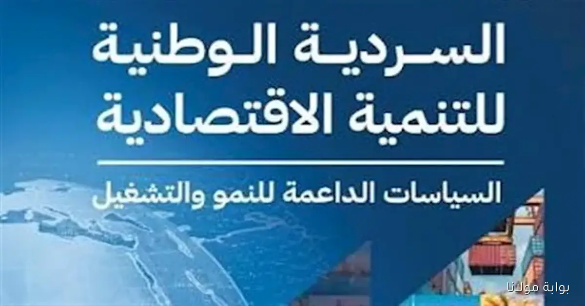 الحكومة تعمل على إنشاء لجنة قضائية مختصة لمتابعة المخالفات التنافسية