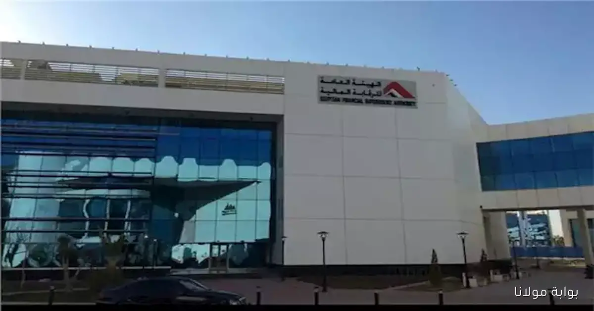 الرقابة المالية تفرض حظرًا على اتحاد التمويل الاستهلاكي ضد من يقومون بالتسييل النقدي