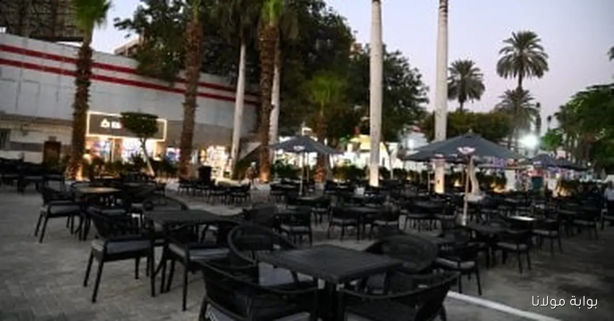 الزمالك يطلق أول حديقة في إطار مشروع التطوير الاجتماعي مع صور مميزة