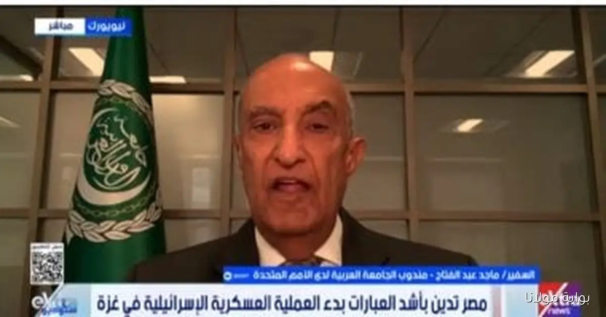 السفير ماجد عبد الفتاح: إسرائيل تحاول عرقلة مؤتمر الأمم المتحدة حول حل الدولتين