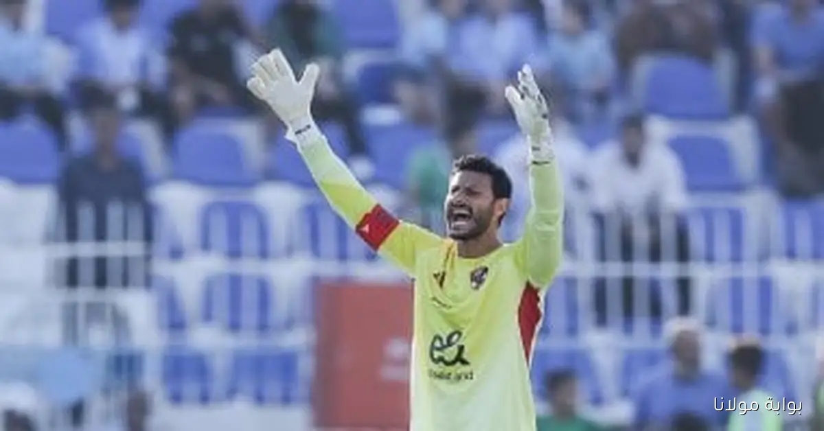 الشناوي يعود لحراسة مرمى الأهلي في قمة الدوري وشوبير ينتقل إلى دكة البدلاء