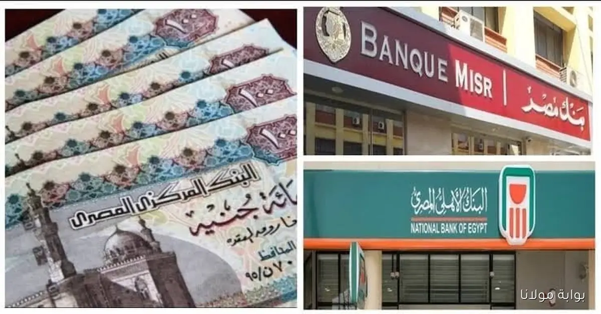 الشهادات البنكية المثلى للاستثمار في ظل انخفاض أسعار الفائدة