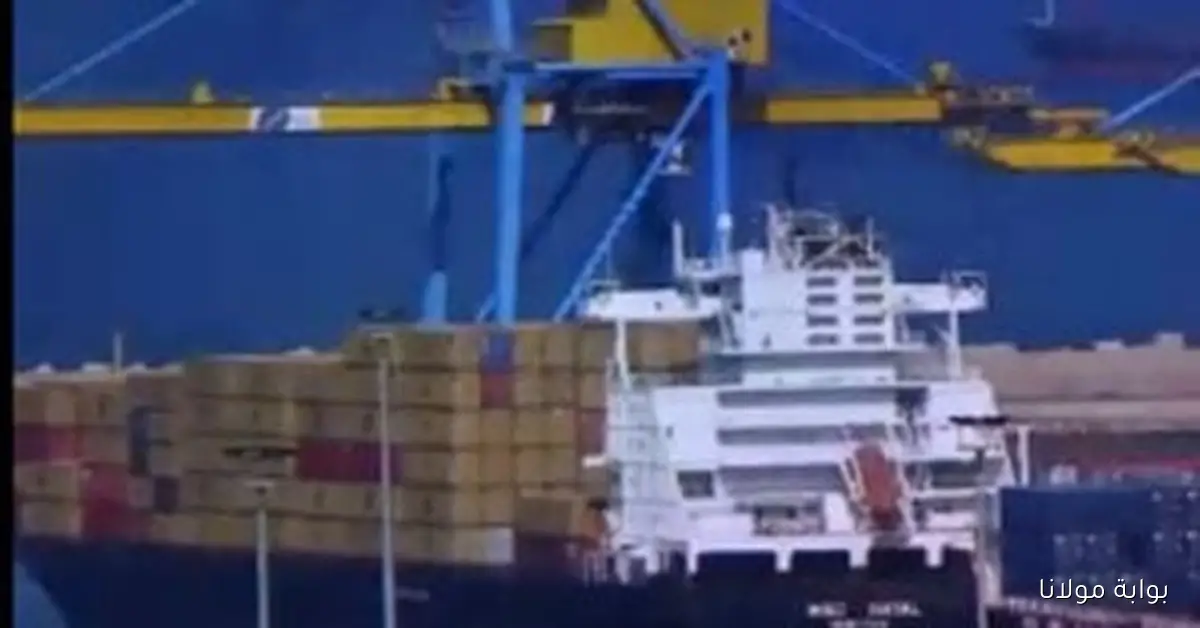 الصادرات الهندسية تحقق إنجازات تاريخية وتتجاوز 4 مليارات دولار حتى أغسطس 2025