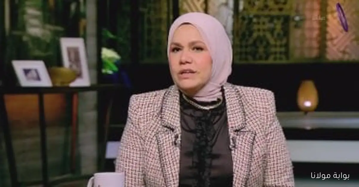 الضرائب تطلق قرارًا جديدًا يفرض على الممولين استخدام الإيصالات الضريبية الإلكترونية في بيئة التشغيل الفعلي