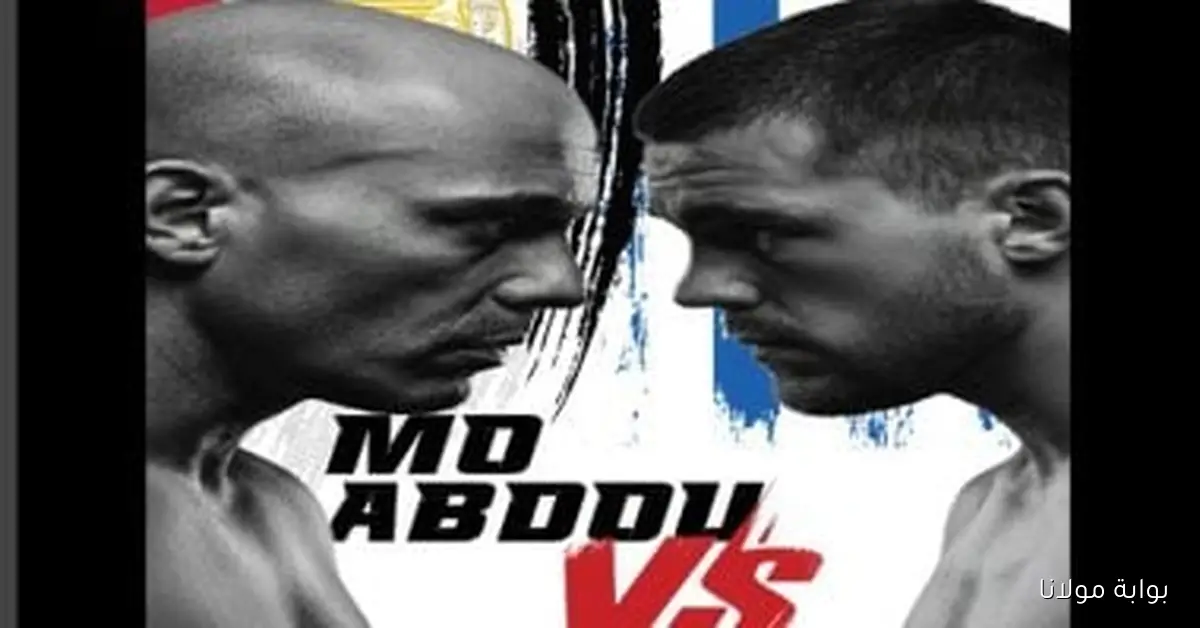 القاهرة تستضيف المؤتمر الصحفي لبطولة العالم للملاكمة العربية للمحترفين