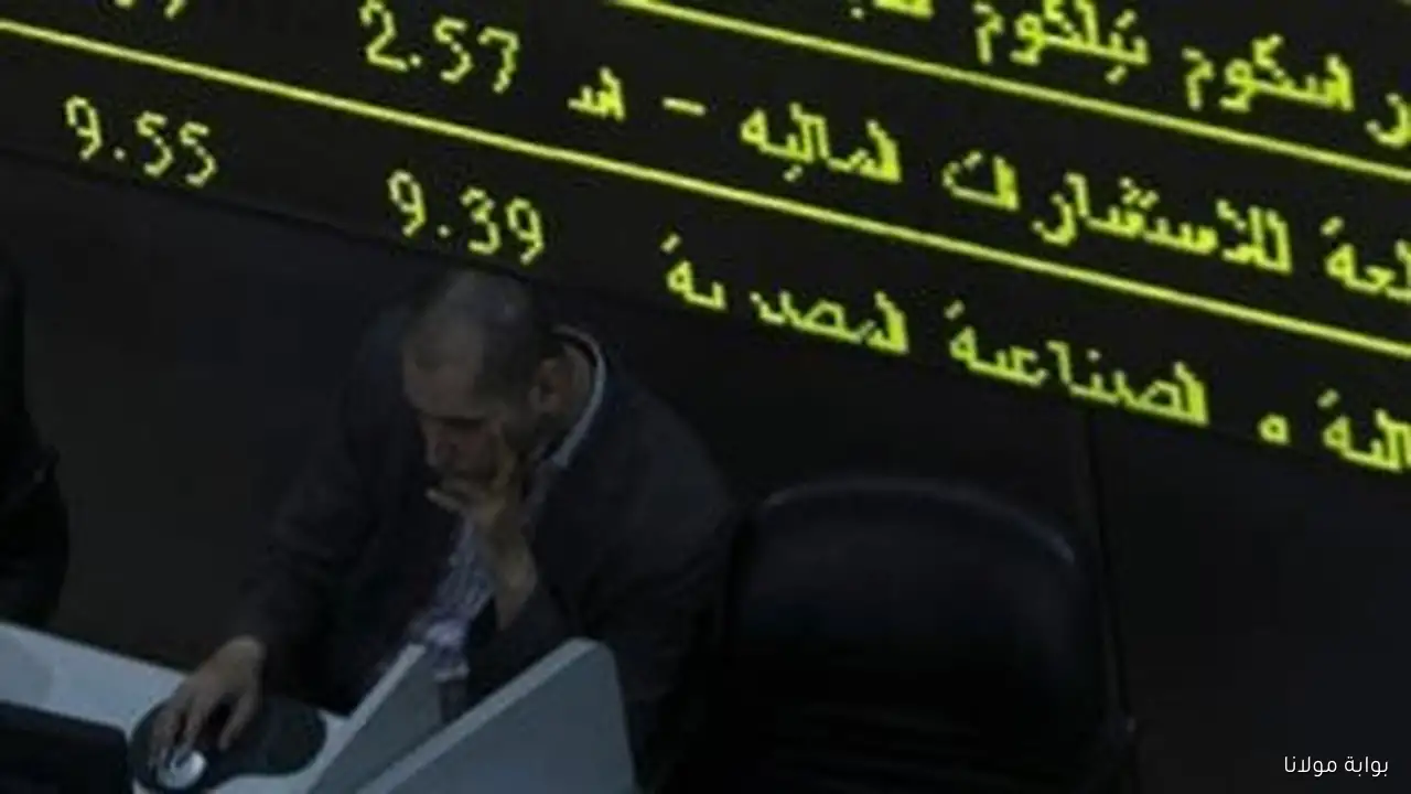 الكبار يهيمنون على السوق: 10 شركات سمسرة تستحوذ على 78% من إجمالي تداولات البورصة