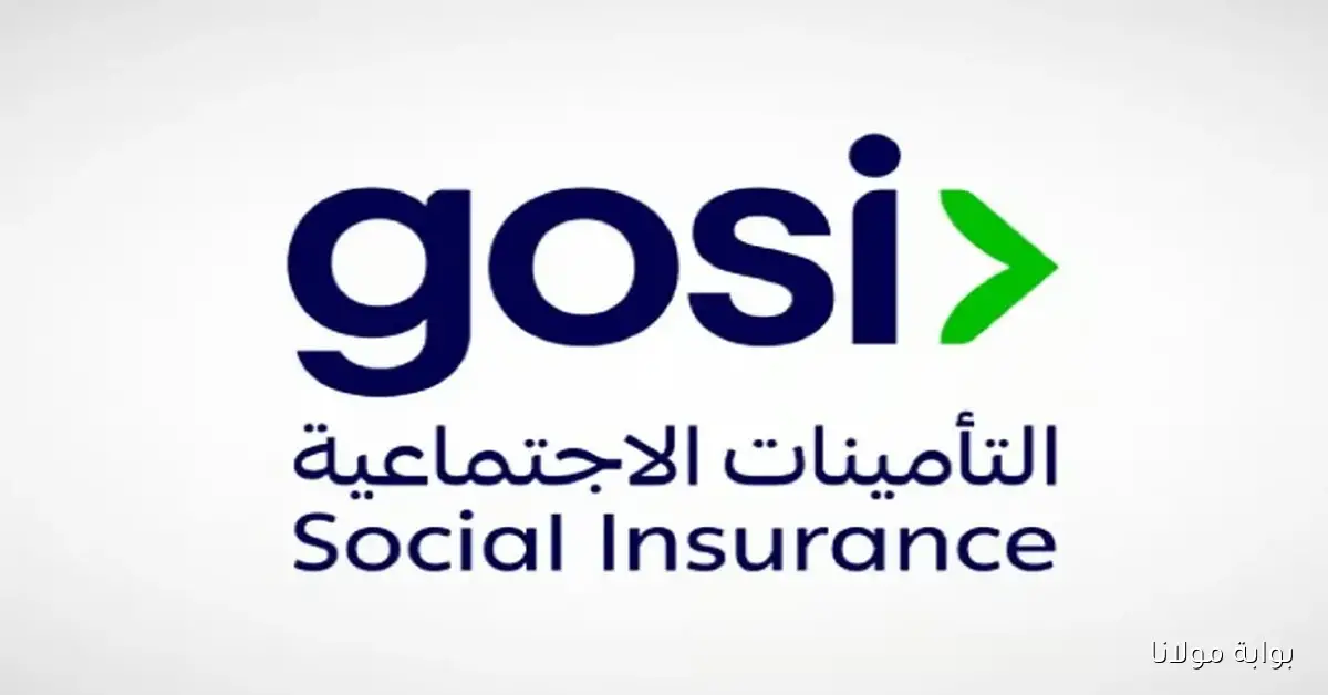 وش سالفه صدور أمر ملكي زيادة رواتب العسكريين لهذا الشهر 2025 بمناسبة اليوم الوطني 95.. المؤسسة العامة للتأمينات تحسم الجدل