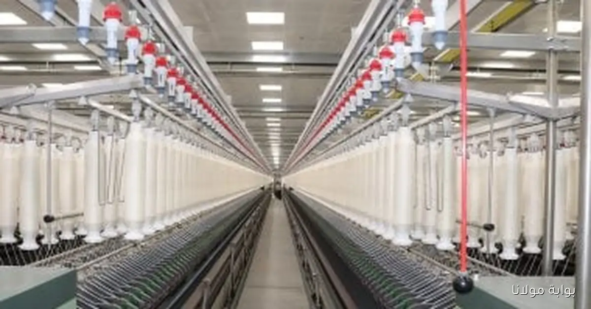 المشروعات الصغيرة تزدهر بقوة مع زيادة التمويلات إلى 10.1 مليار جنيه بحلول 2025