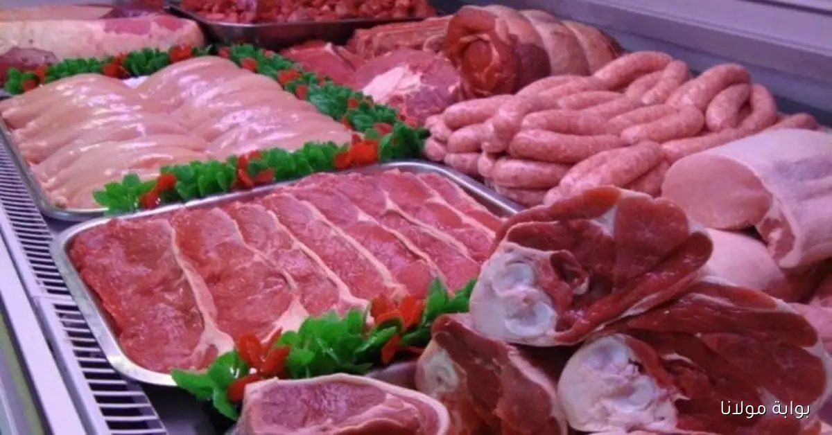 كم سعر اللحوم المفروم وكندوز اليوم الثلاثاء 30 سبتمبر 2025 في الأسواق المصرية